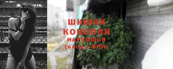 дурь Краснослободск