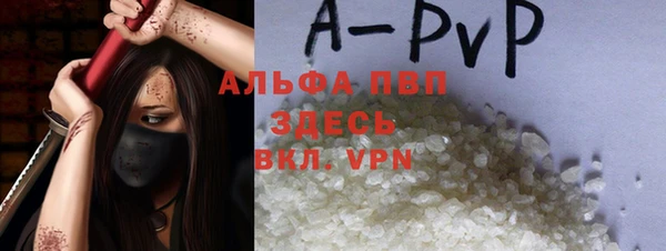 гидра Корсаков