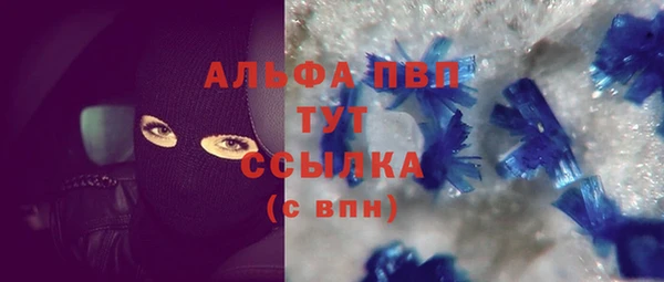 дурь Краснослободск