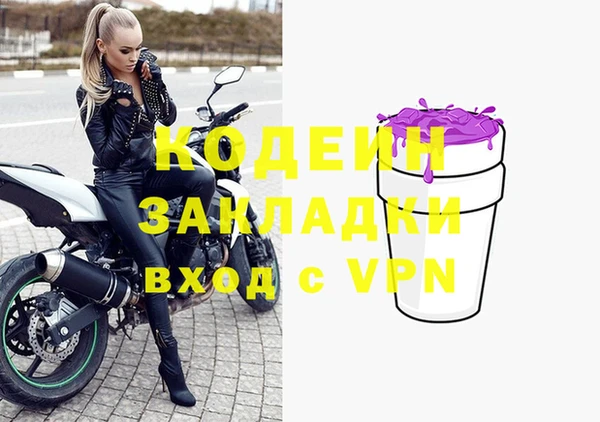 дурь Краснослободск