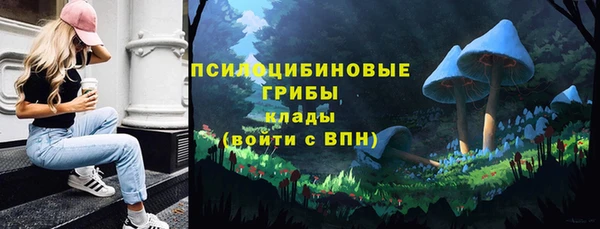 ПСИЛОЦИБИНОВЫЕ ГРИБЫ Строитель
