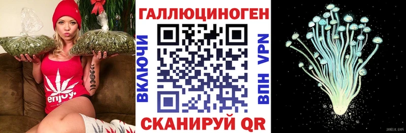 Галлюциногенные грибы Psilocybine cubensis  сколько стоит  Костомукша 