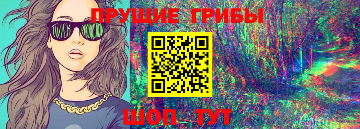 Псилоцибиновые грибы Psilocybine cubensis Костомукша
